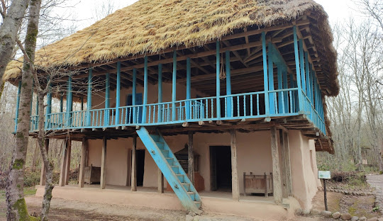 سفر به گیلان : سبزی بی پایان و تجربه ای ماندگار