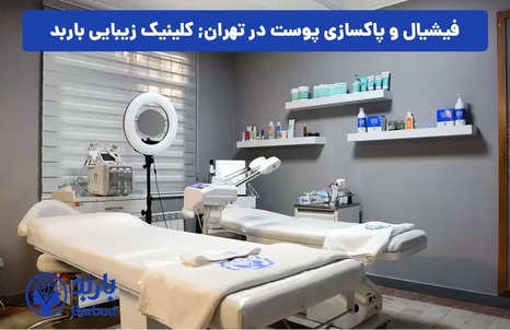 فیشیال و پاکسازی پوست در شمال تهران: مرکز تخصصی برای زیبایی طبیعی