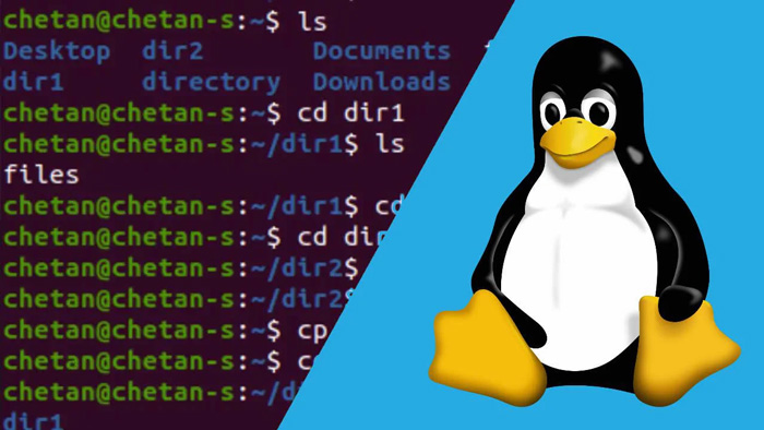 دستور nslookup در لینوکس چیست؟