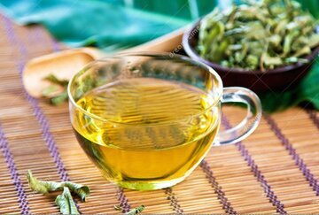 بهبود عملکرد مفصل‌ها با مصرف این دمنوش گیاهی