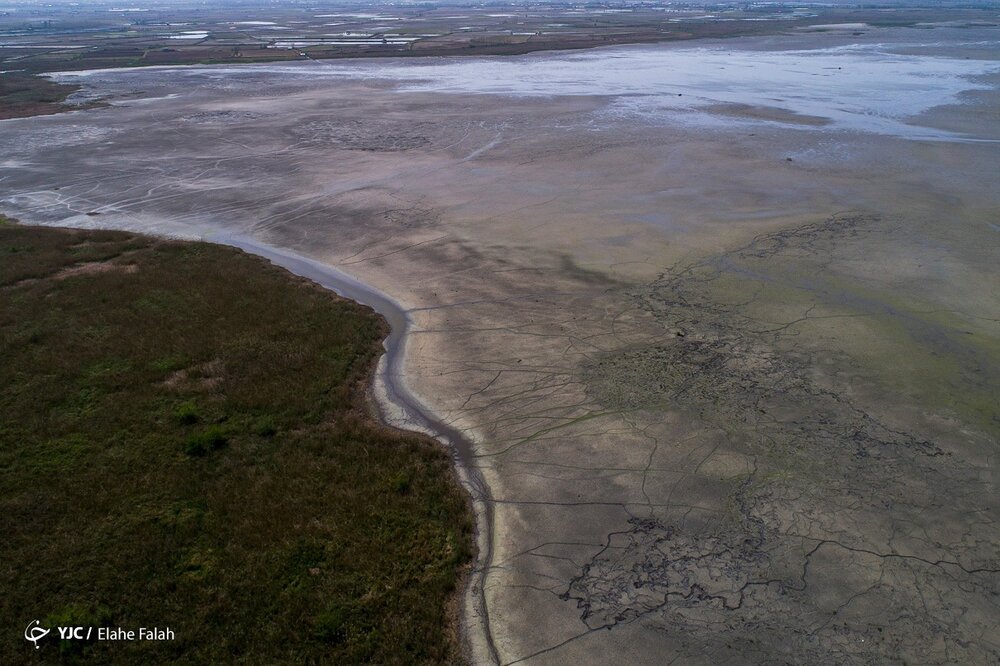 سالانه ۸ برابر گنجایش سد کرج از آب های زیرزمینی برداشت می شود/ کم آبی ناشی از تغییر اقلیم یا سوءمدیریت؟/ ۳ تالاب و یک دریاچه که رو به نابودی هستند