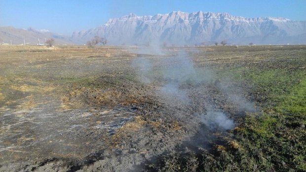 سالانه ۸ برابر گنجایش سد کرج از آب های زیرزمینی برداشت می شود/ کم آبی ناشی از تغییر اقلیم یا سوءمدیریت؟/ ۳ تالاب و یک دریاچه که رو به نابودی هستند