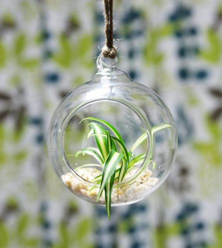 پرطرفدارترین گل برای کادو روز ولنتاین