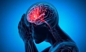 جلوگیری از ابتلا به آلزایمر با مصرف این ماده غذایی