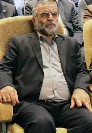 نویسنده کتاب شنبه ارام : شهید محسن فخری&zwnj;زاده
