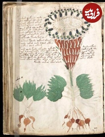 کتاب کتاب ۶۰۰ سالۀ مرموزی که هیچکس نمی تواند آن را بخواند