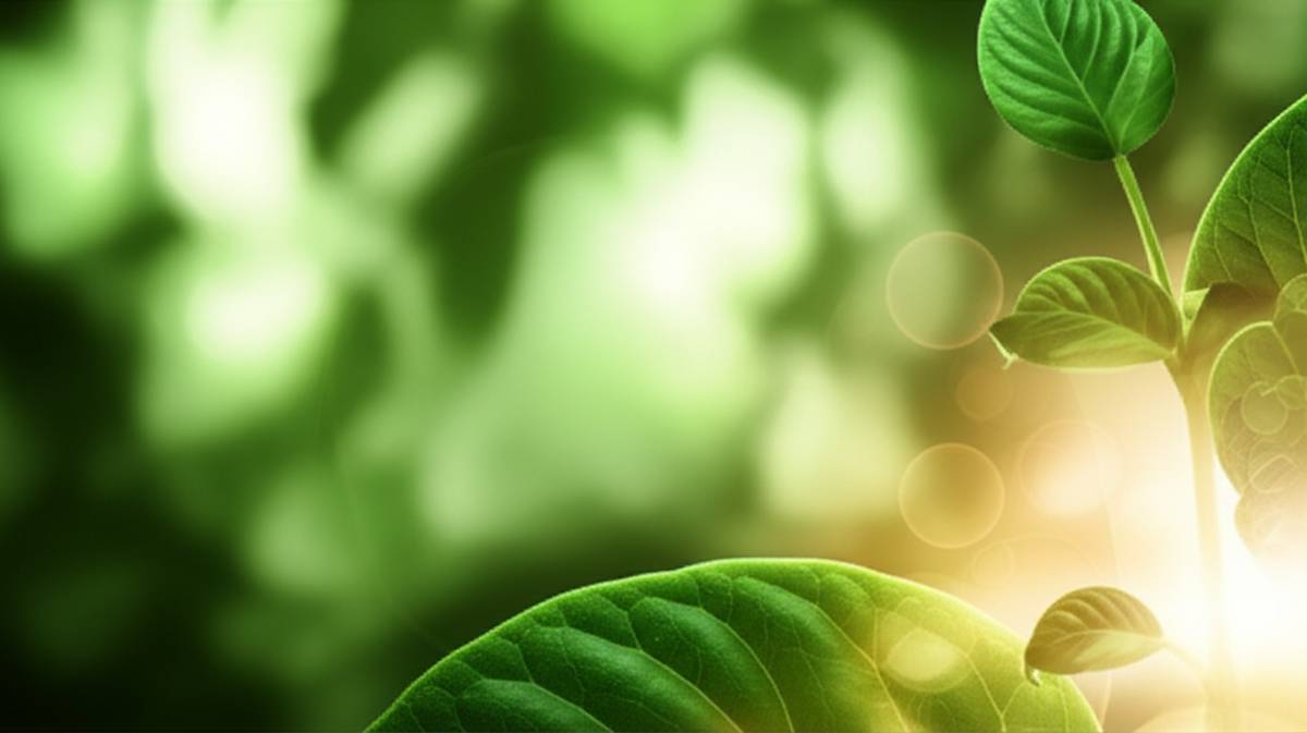 فواید مکمل مس: راهنمای جامع برای سلامتی